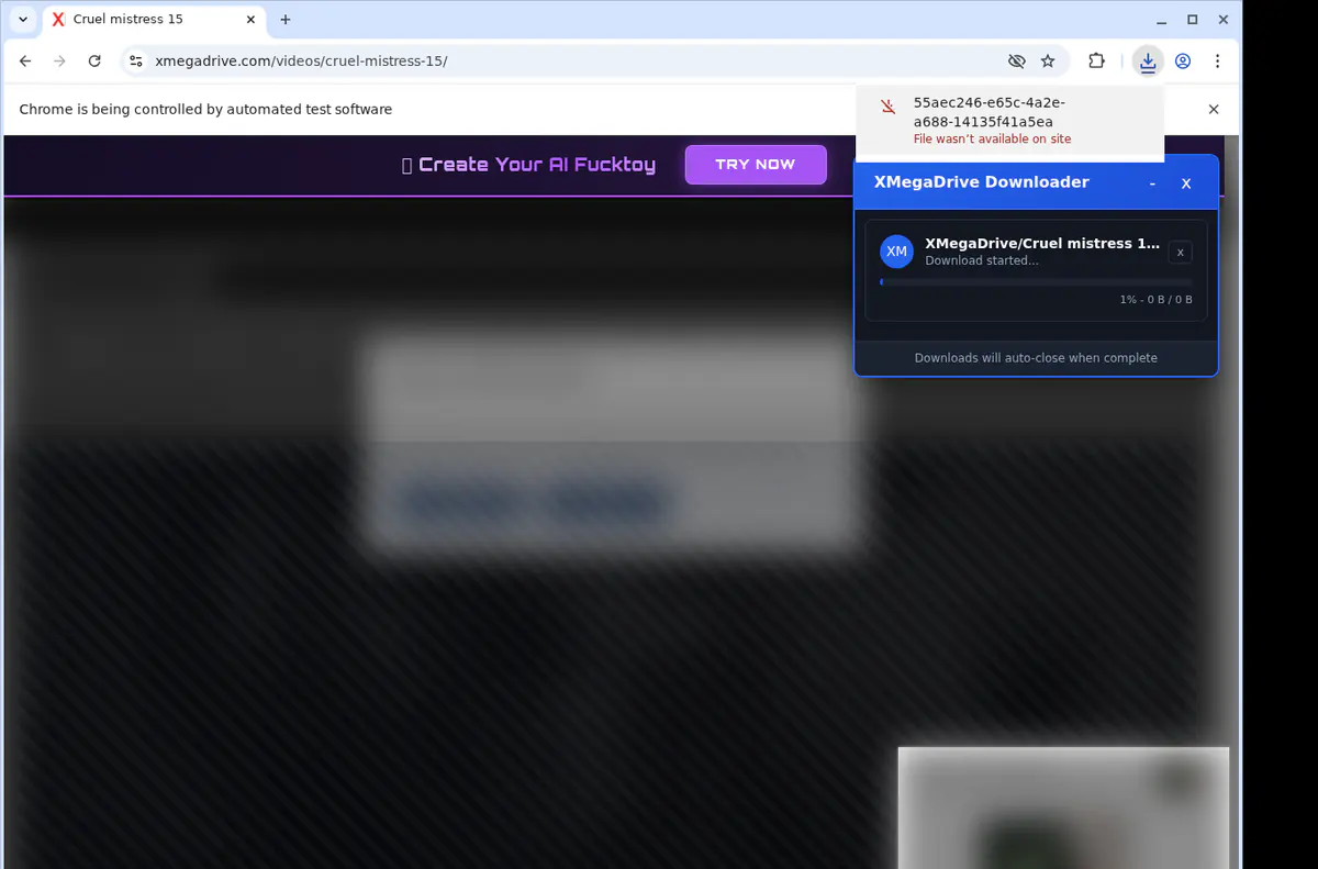 Xmegadrive Video Downloader browser extension screenshot 2