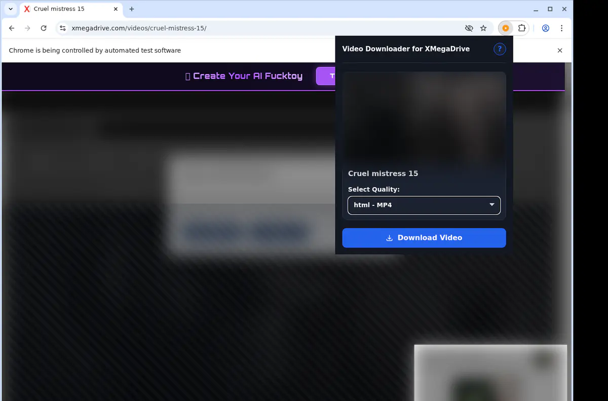 Xmegadrive Video Downloader browser extension screenshot 3