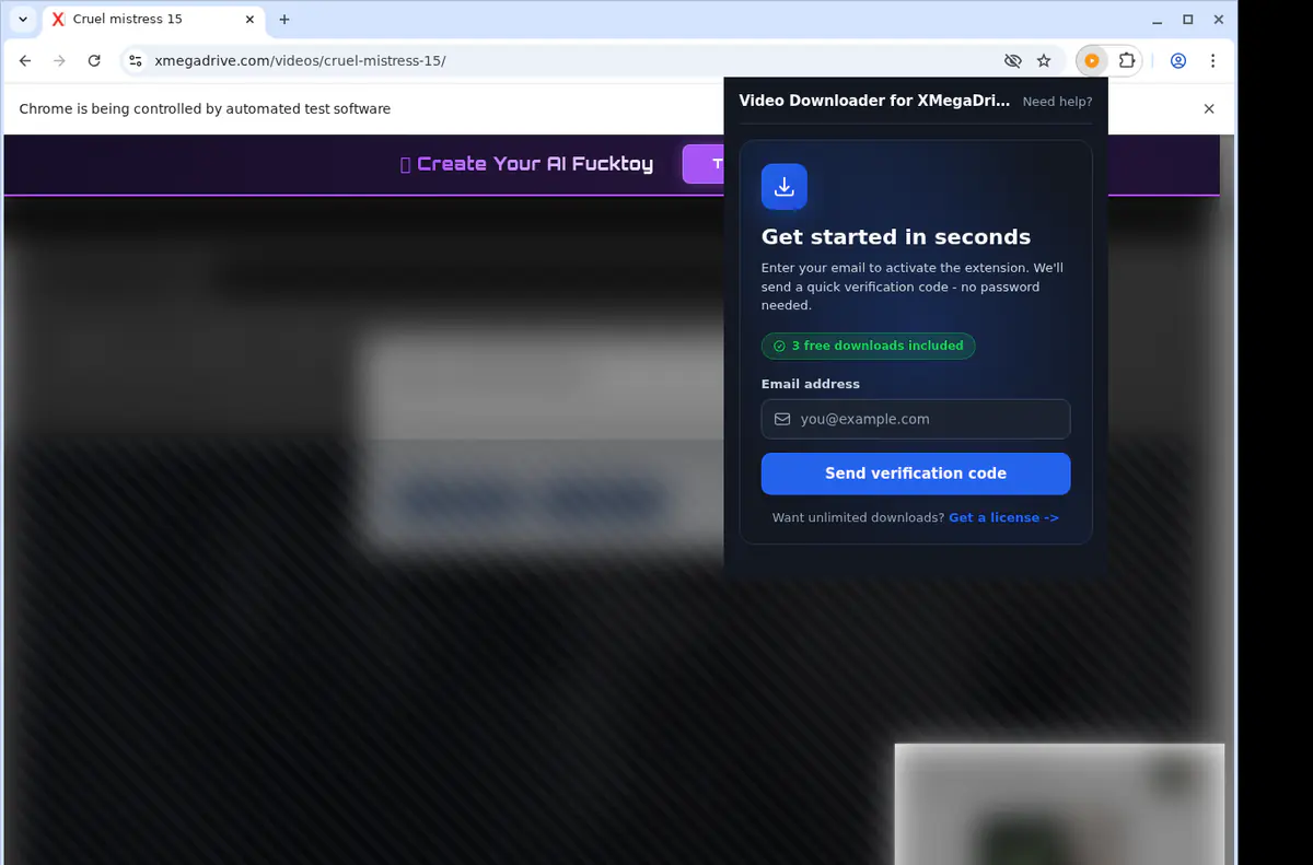Xmegadrive Video Downloader browser extension screenshot 5